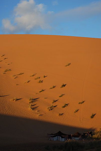 Sahara
