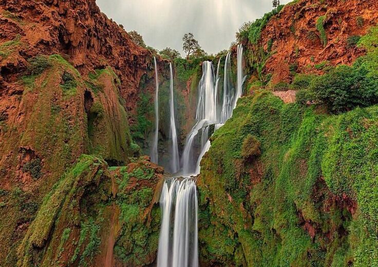 Ouzoud Waterfalls Day Trip from Marrakech